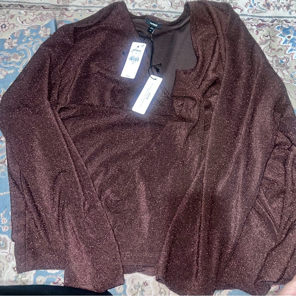 Brown Metallic V-Neck Blouse